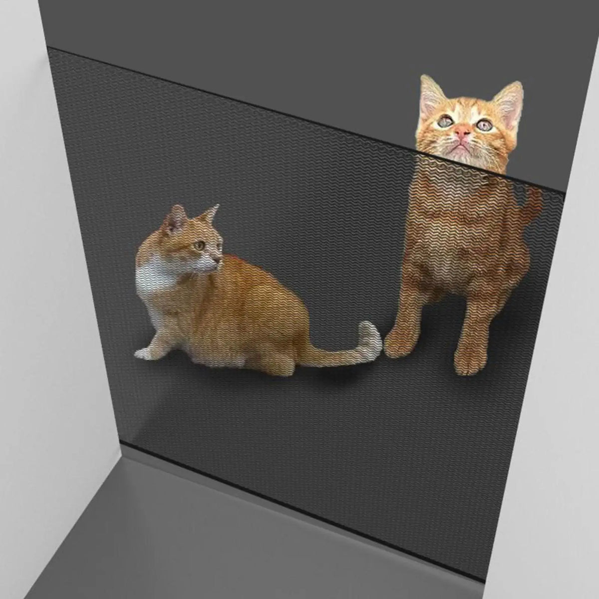 Barrière de sécurité rétractable sans perçage pour enfants et animaux domestiques