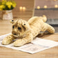 Peluche Lion, Tigre et Léopard – Jouet en peluche doux pour enfants
