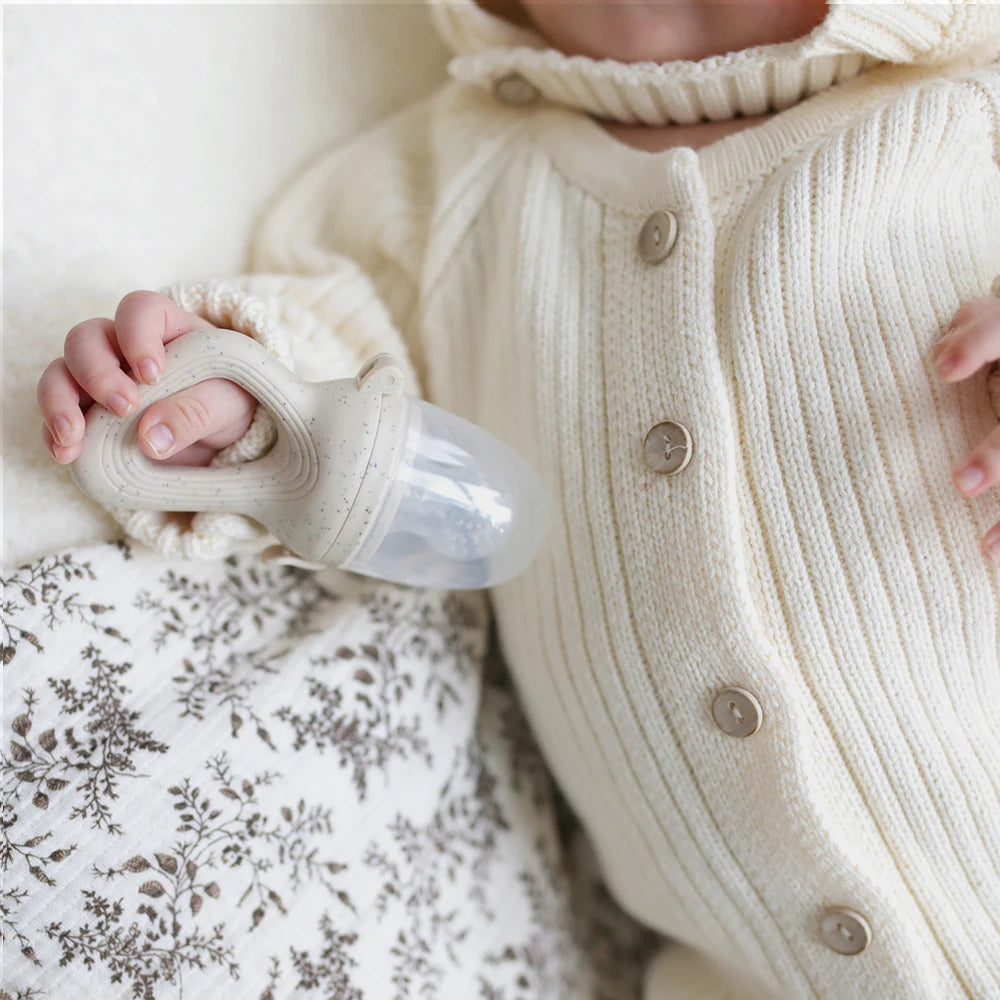Ensemble distributeur de fruits pour bébé et plateau de congélation