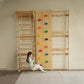 Baby Physical Training Wooden Climbing Ladder